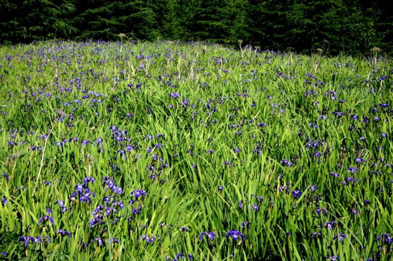 062204 Skagway (10029)